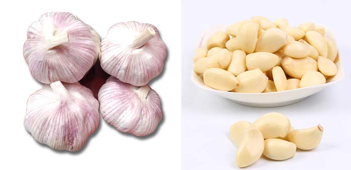 蒜头及去皮蒜头展示图